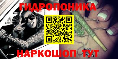 стаф Нальчик