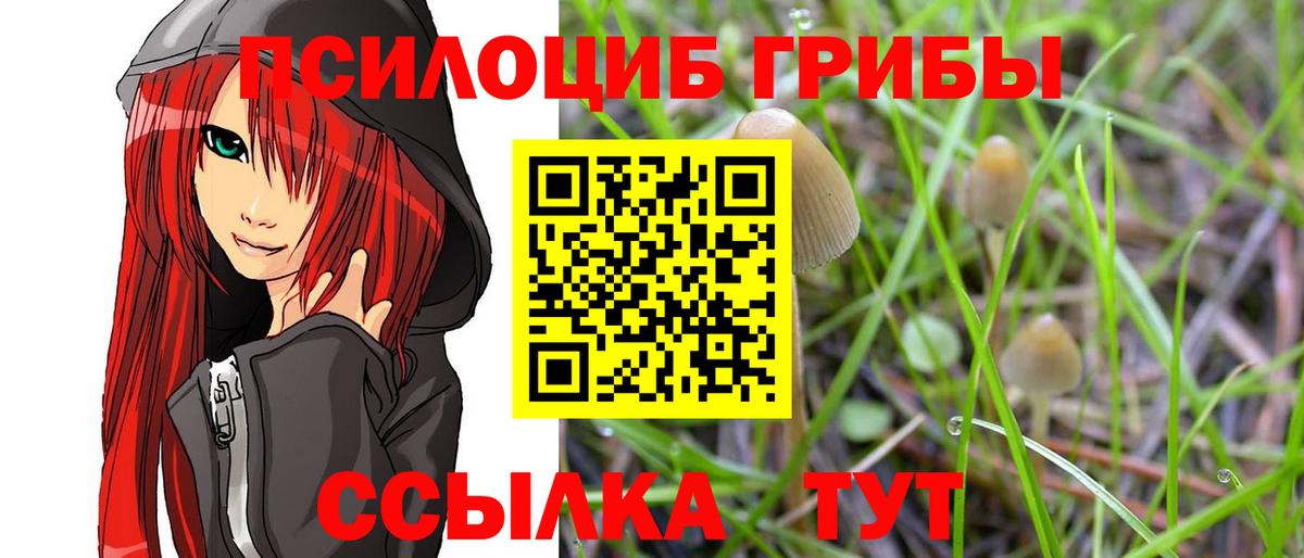 цена наркотик  Псилоцибиновые грибы MAGIC MUSHROOMS  Вход с VPN  Ангарск 
